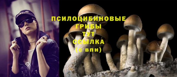 крисы Алзамай