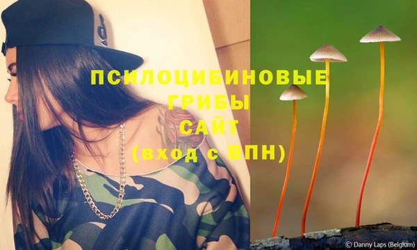 экстази Алексеевка