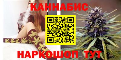 apvp Ачхой-Мартан