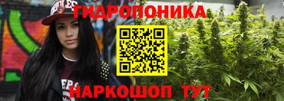 ГАЛЛЮЦИНОГЕННЫЕ ГРИБЫ Баксан