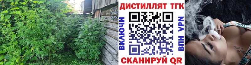 ТГК THC oil  OMG зеркало  Махачкала 