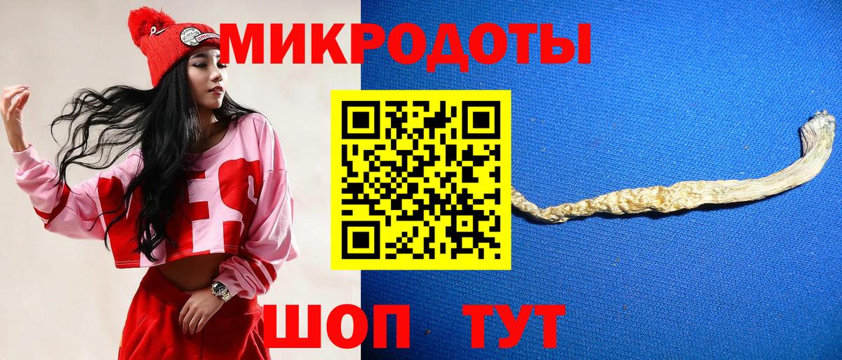 Псилоцибиновые грибы Psilocybine cubensis  Вход с VPN  Псилоцибиновые грибы прущие грибы  Махачкала 