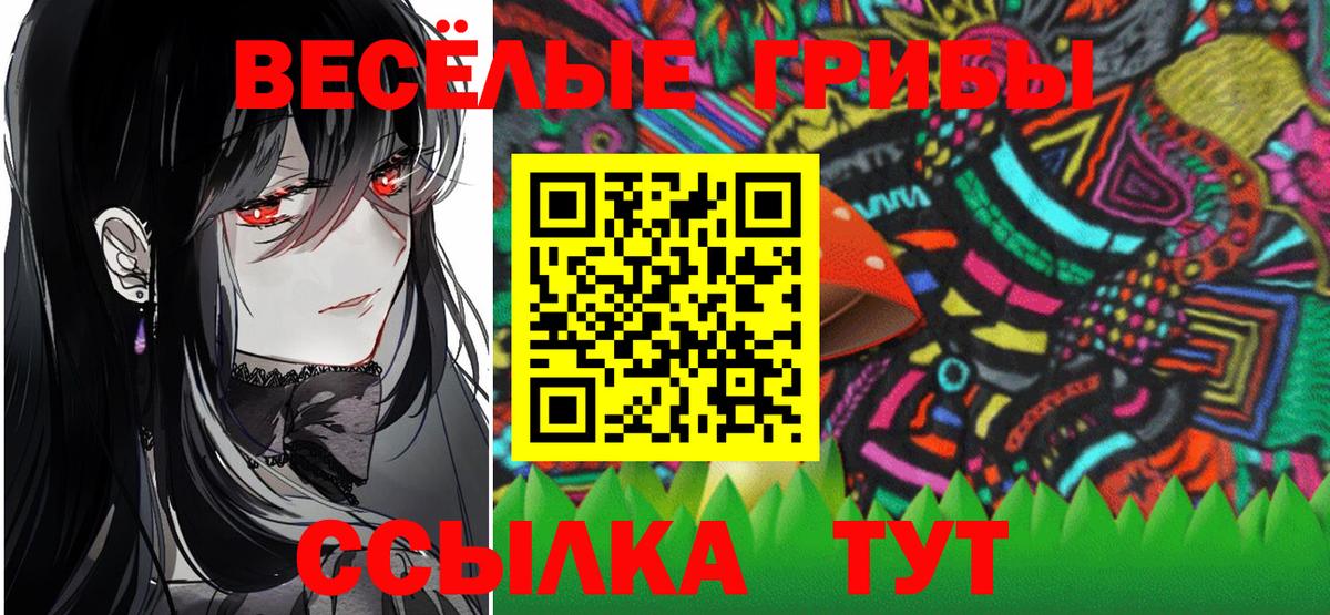 Псилоцибиновые грибы Psilocybe Махачкала